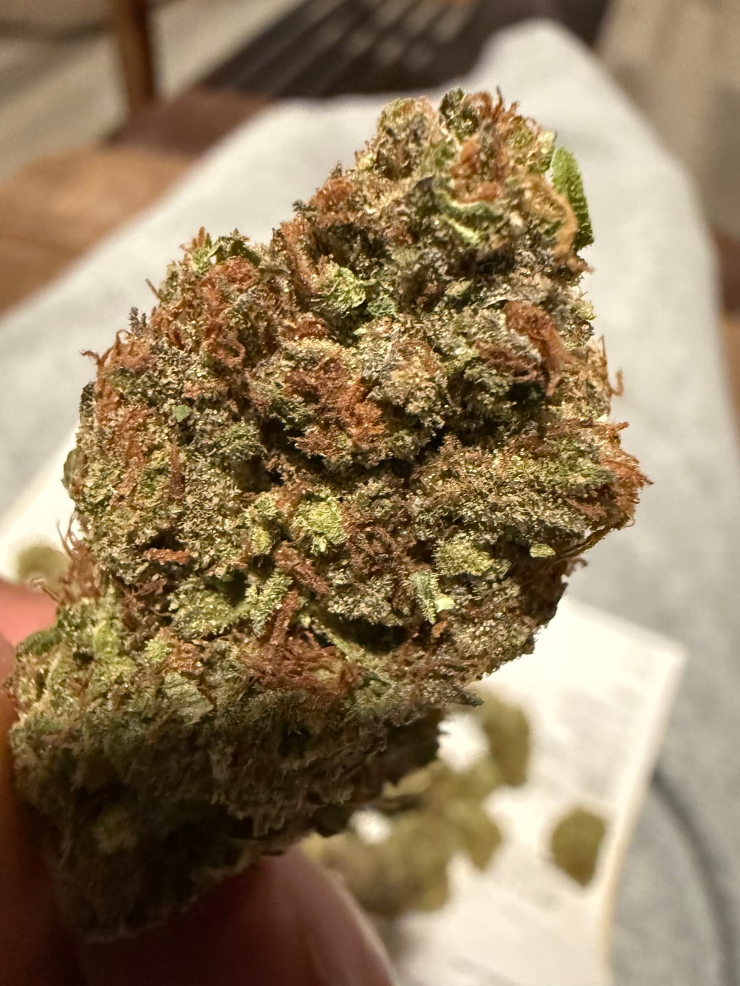 Customer photo review of Lemon Haze Indoor THCA Trim