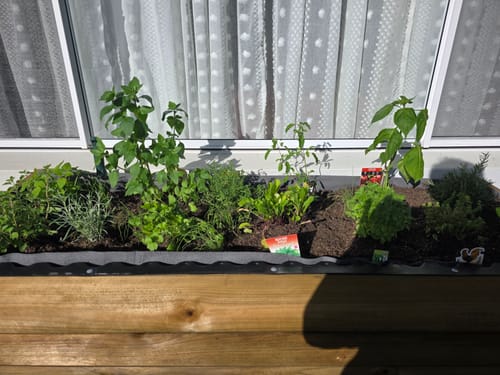 Customer photo of their LARGE Raised Garden Bed on Wheels