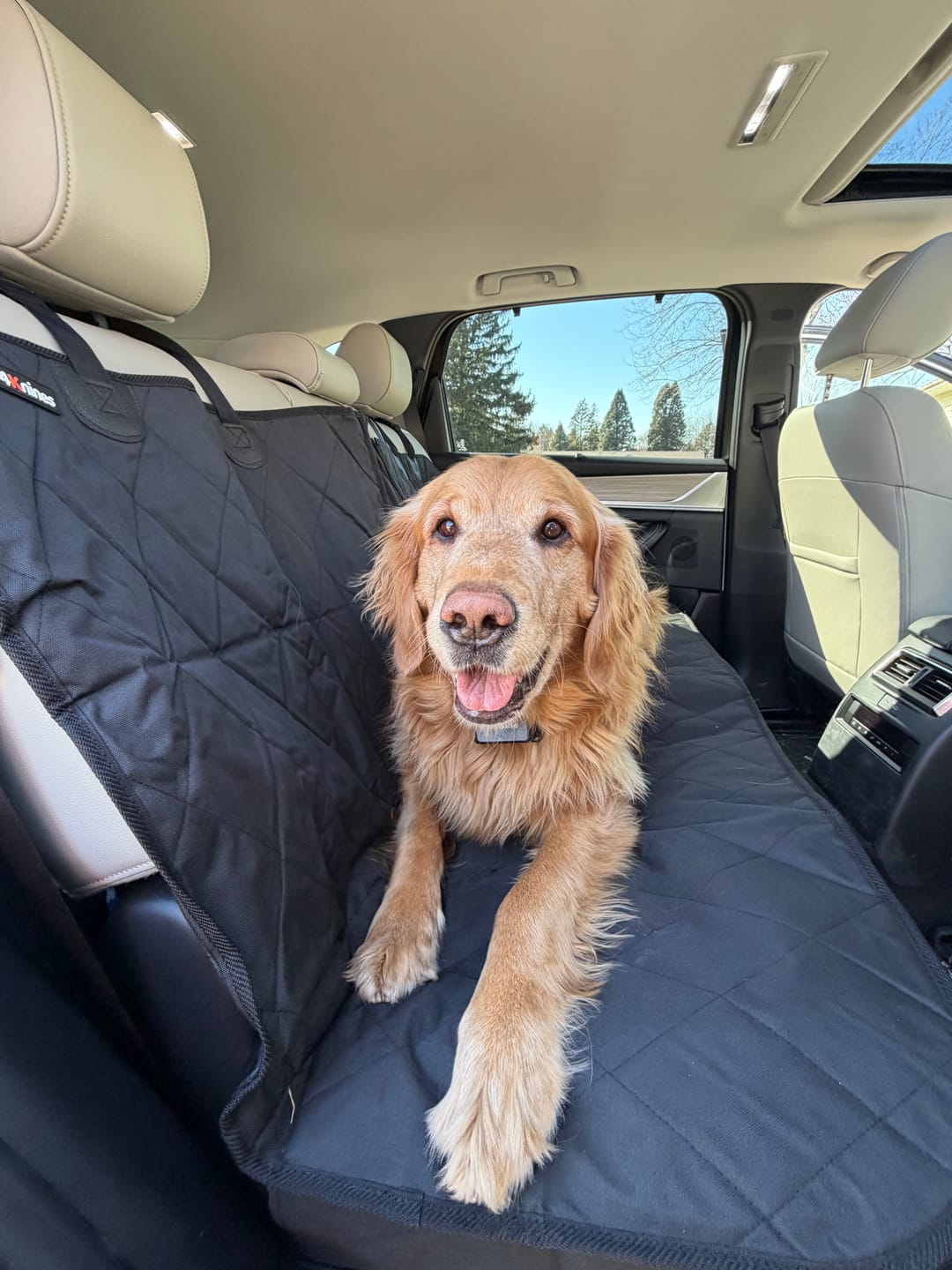 Customer photo review of Rear Seat Cover for Fold Down Seats - No Hammock - Regular