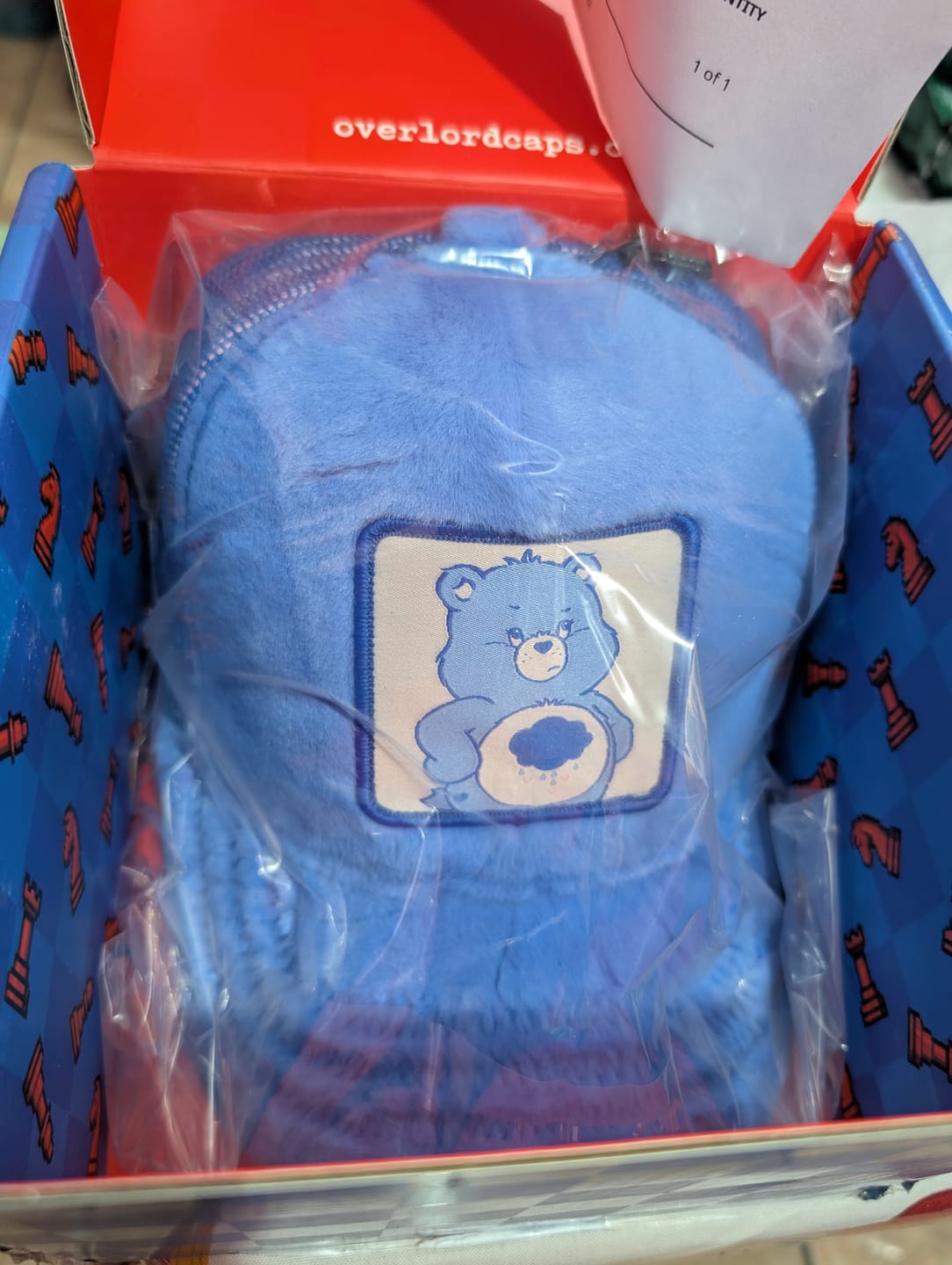 Customer photo review of OVERLORD X Care Bears:  Grumpy Bear Trucker Cap