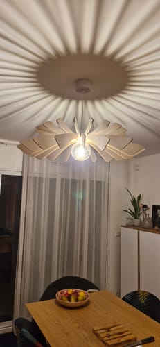 Customer photo review of Aurora | Suspension