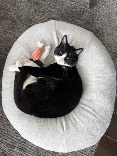 Customer photo review of Mochi Pudding Bed