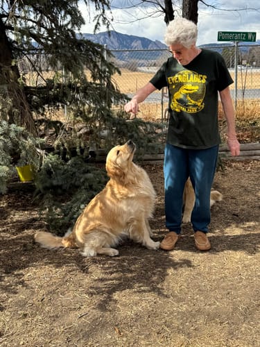 Customer wearing the Everglades National Park Vintage Tee while training their golden retriever outdoors.