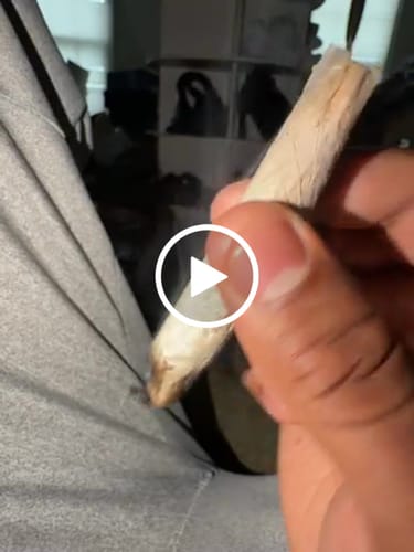 Customer video review of Greenhouse Smalls