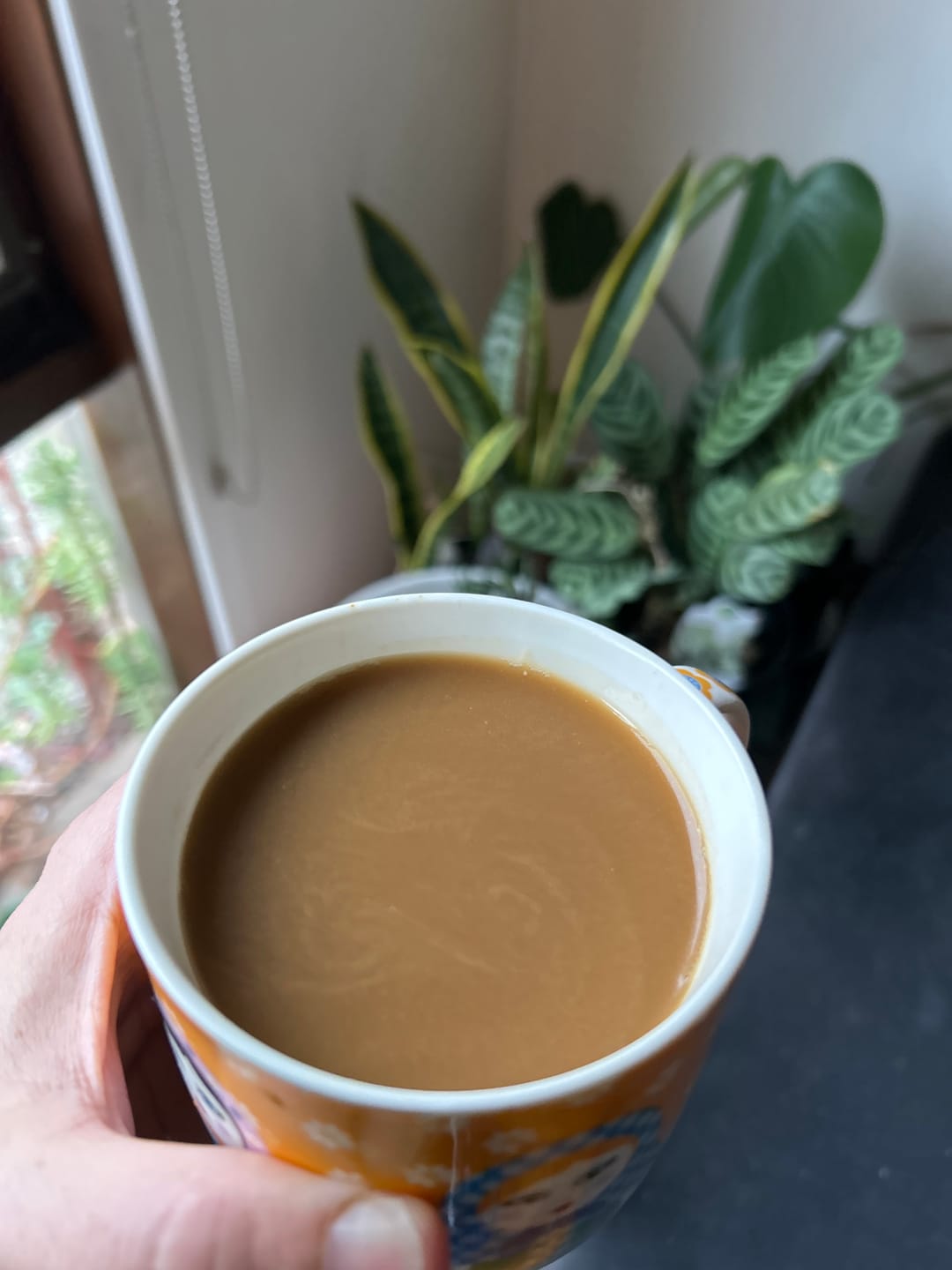 Customer photo review of Mind Brew – Focus & Energy Coffee