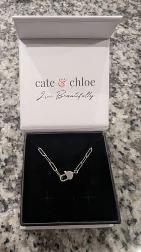 Reviewer's Tammy Paperclip Chain Necklace displayed inside its white Cate & Chloe gift box.