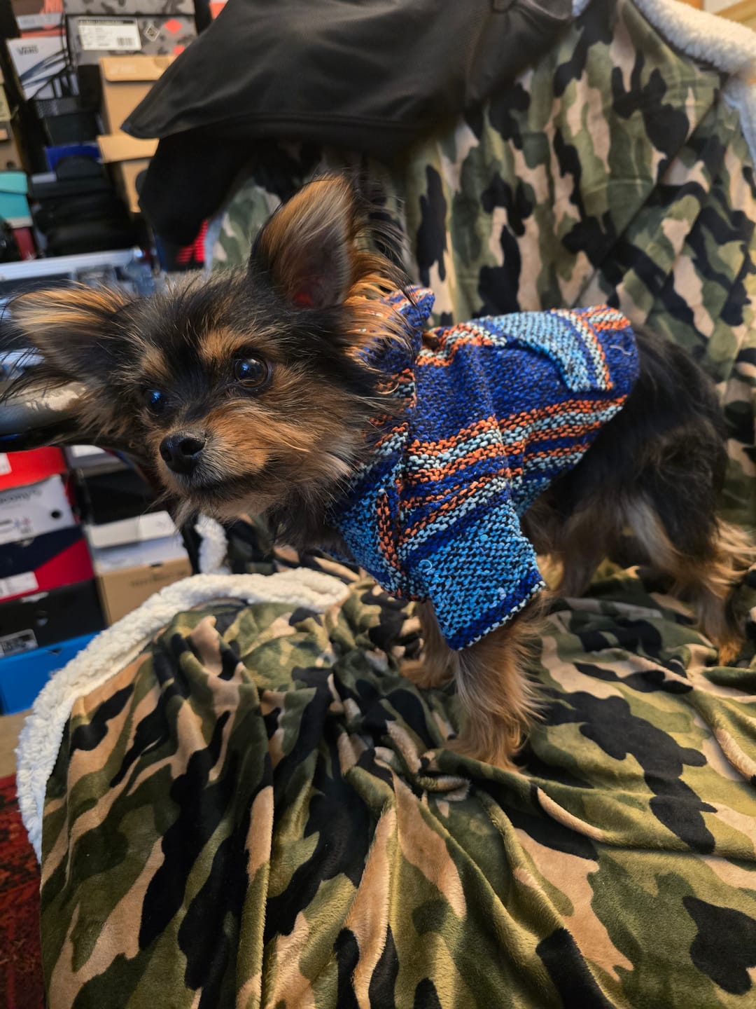 Customer photo review of Playa Poncho – Mystery Color (Bella, Charlie, or Fun Edition)