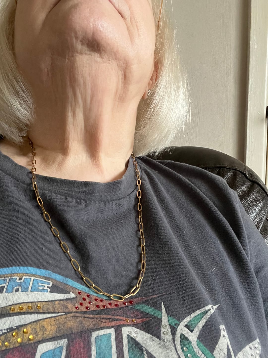 Customer photo review of Extended Paperclip Necklace