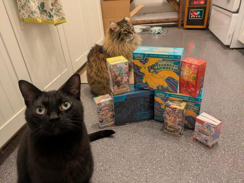 Customer photo review of Pokemon Nihil Zero Booster Box M3 (Ships Jan 28th-Feb 3rd)