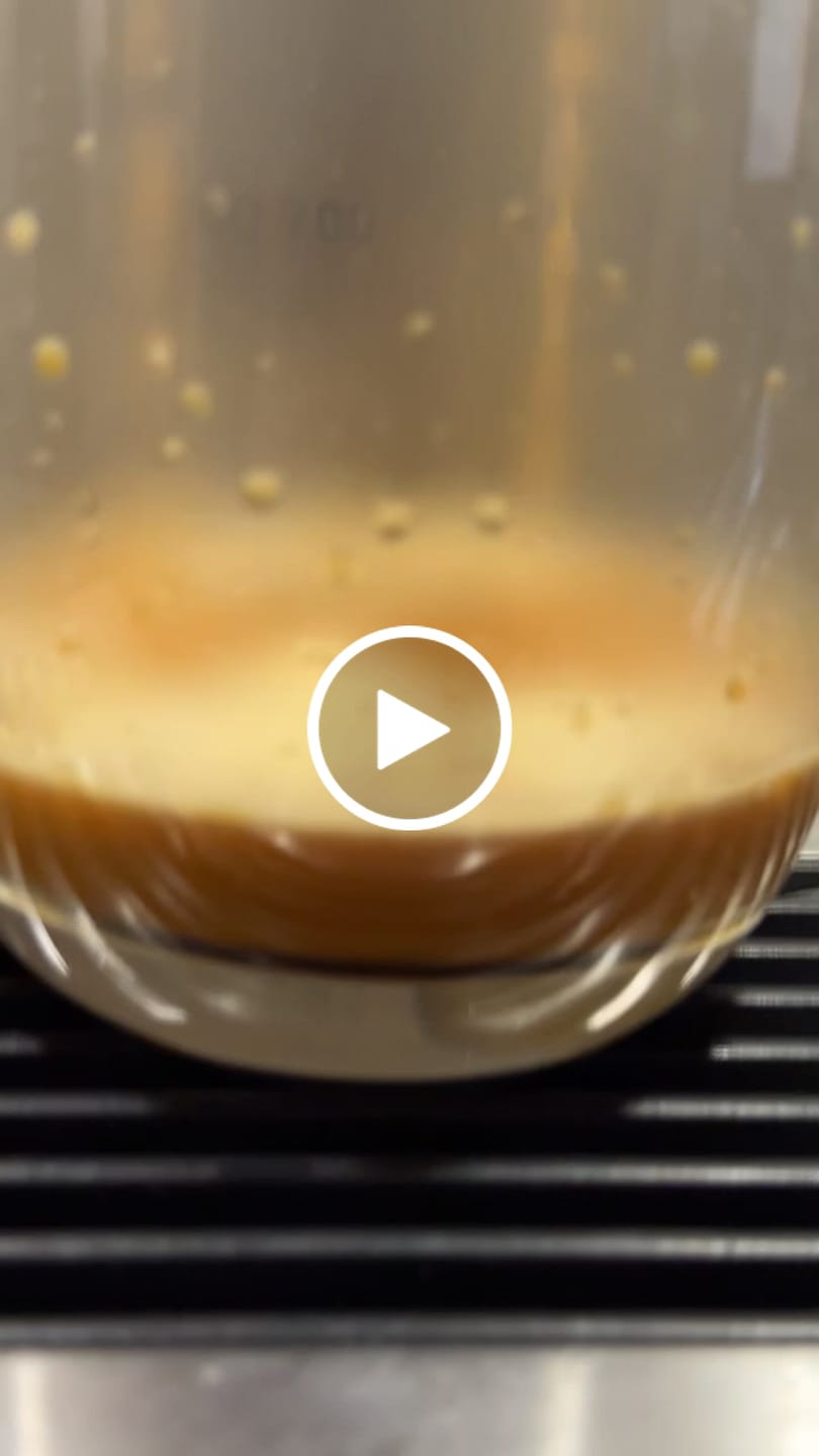 Customer video review of Medium Roast Coffee Case 6x1kg - Blue Mountain