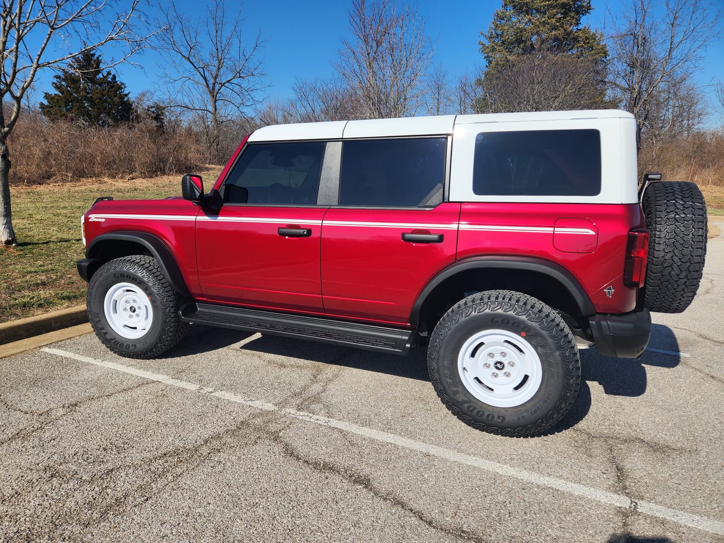 Customer photo review of Armour Quartz Coating