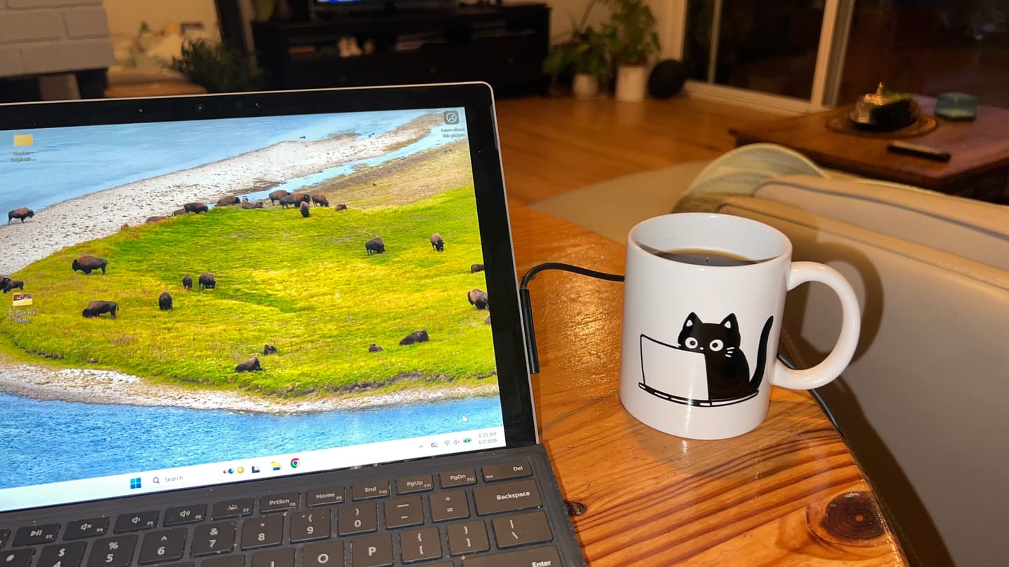 Customer photo review of The Coding Cat Coffee Mug