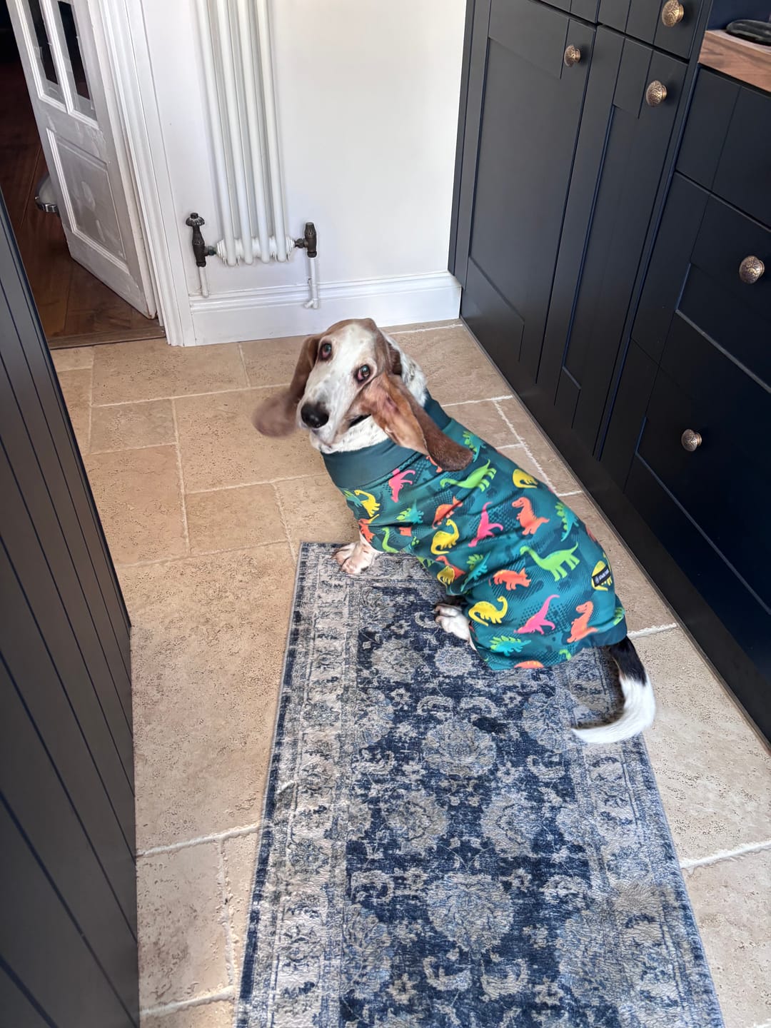 Customer photo review of Dog Pajama - Dinosaurs
