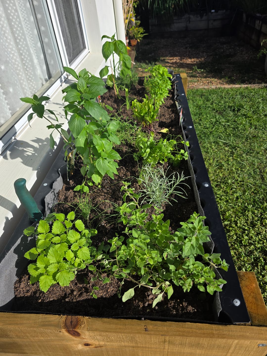 Customer photo review of LARGE Raised Garden Bed on Wheels - Timber 157x60x80cm(h)