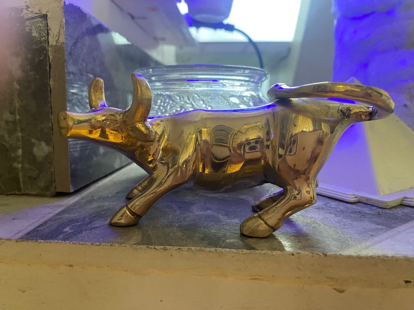 Customer photo review of Premium 100% Pure Brass Charging Bull Vastu Remedy for Southwest Wealth Activation, Career Momentum & Financial Growth Showpiece for Office Desk, Business Success