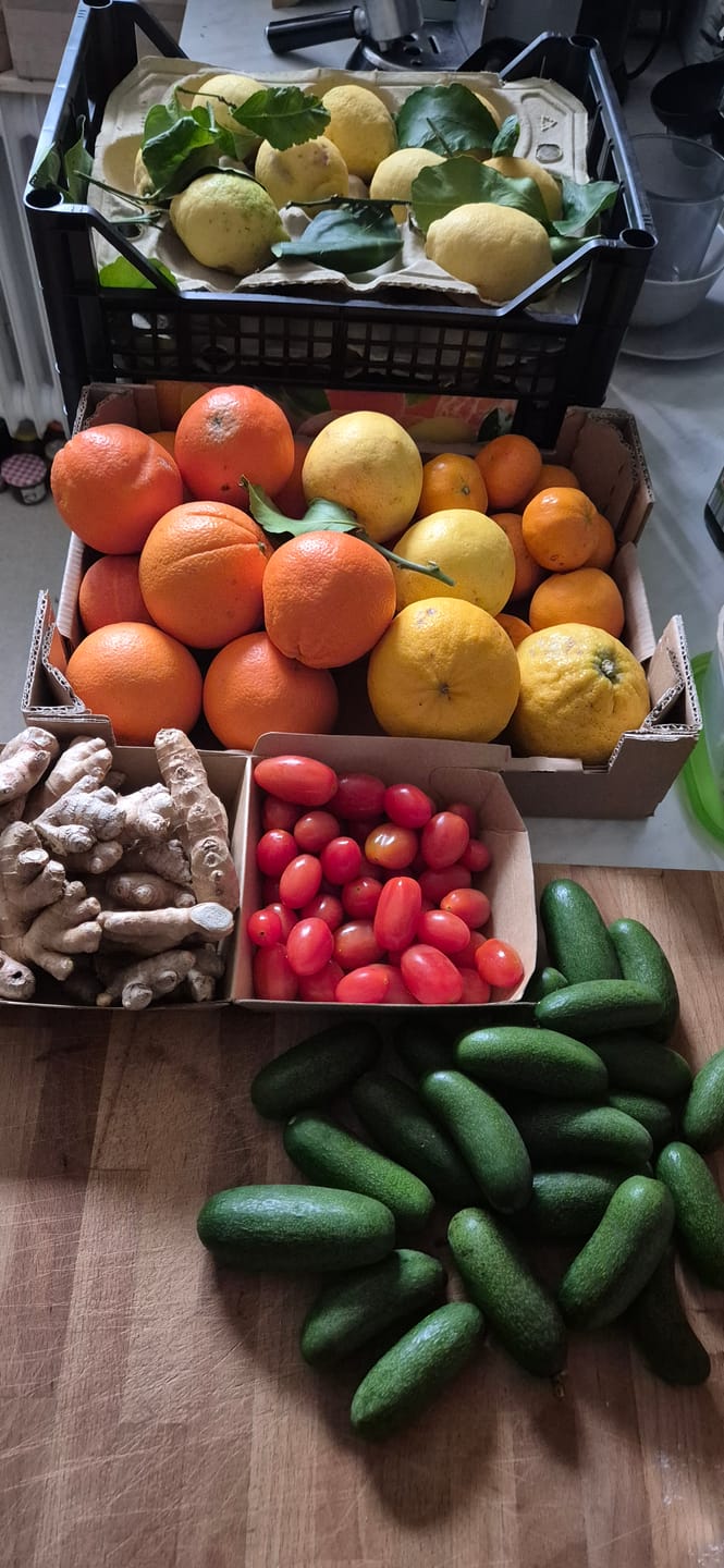 Customer photo review of Zitronen Bio Familie Bilardi Kalabrien 4kg Box Sparpreis %