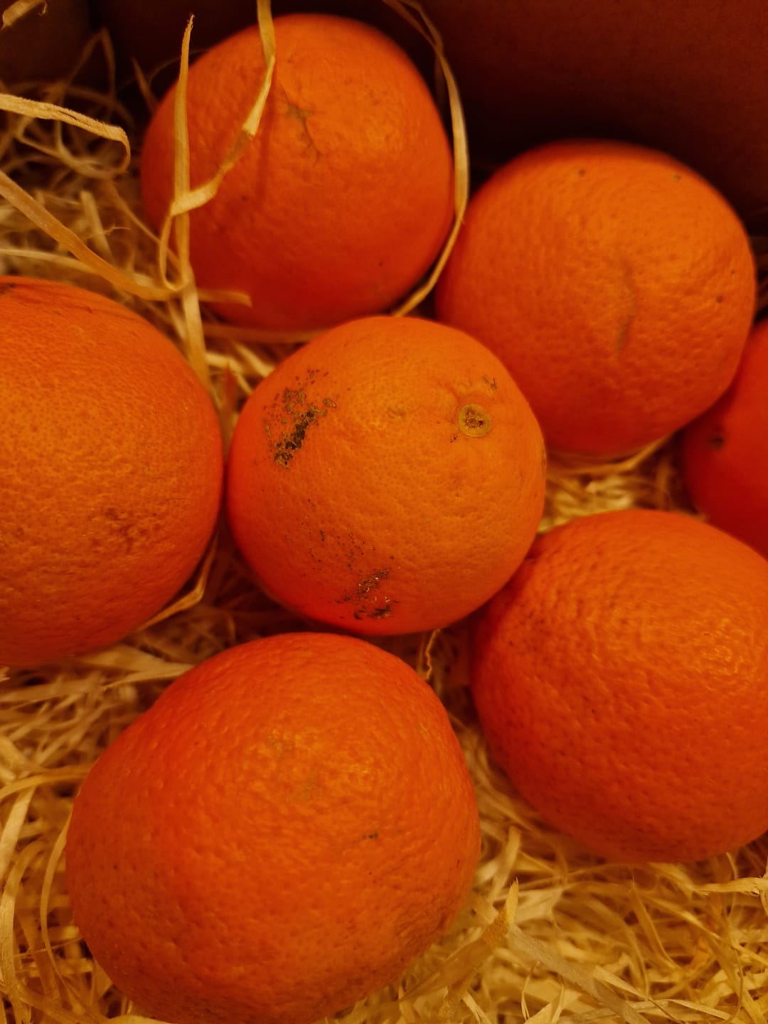 Customer photo review of Saft-Orangen Bio aus Sizilien