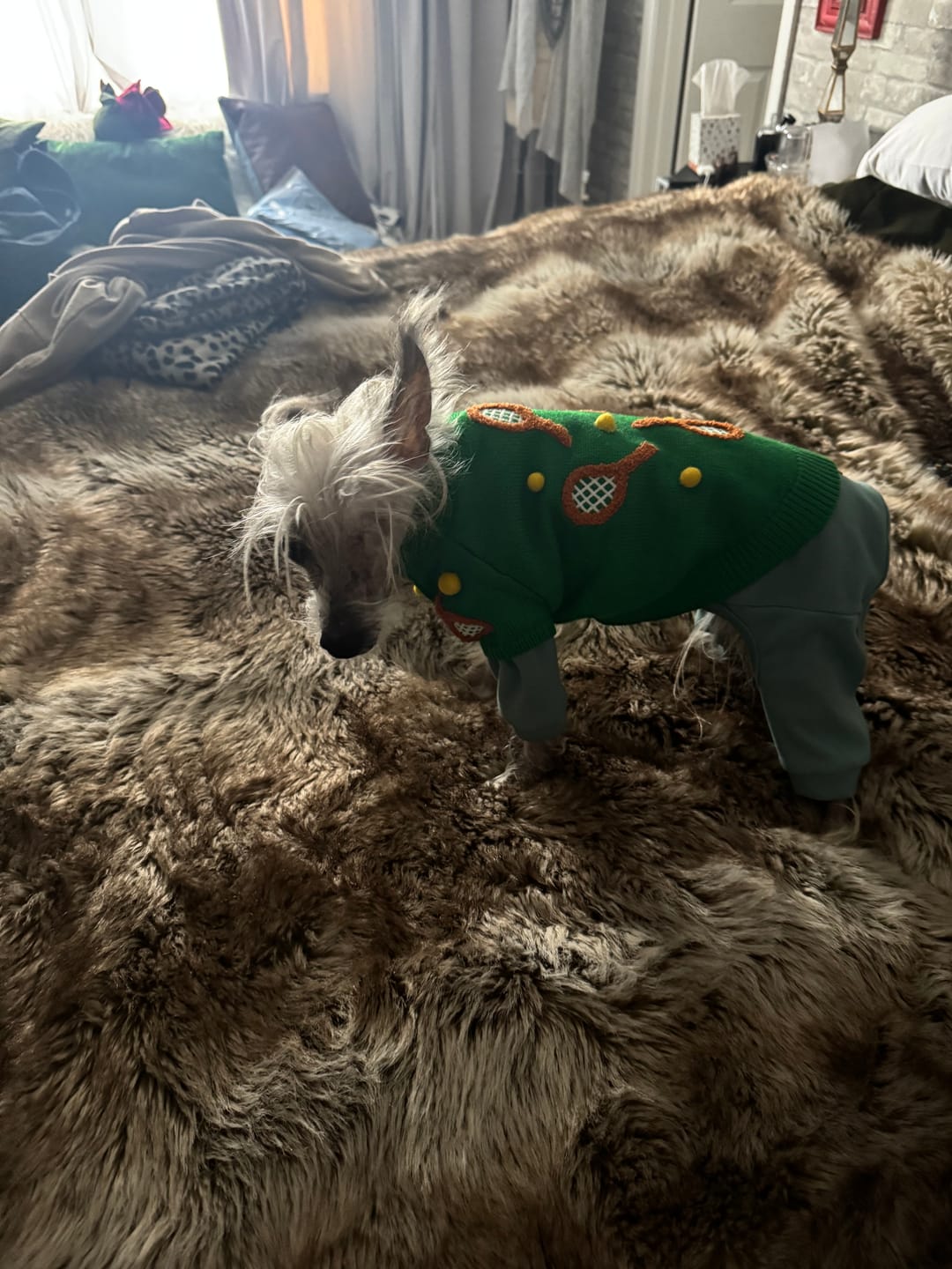 Customer photo review of Found My Animal Tennis 3D Icon Sweater