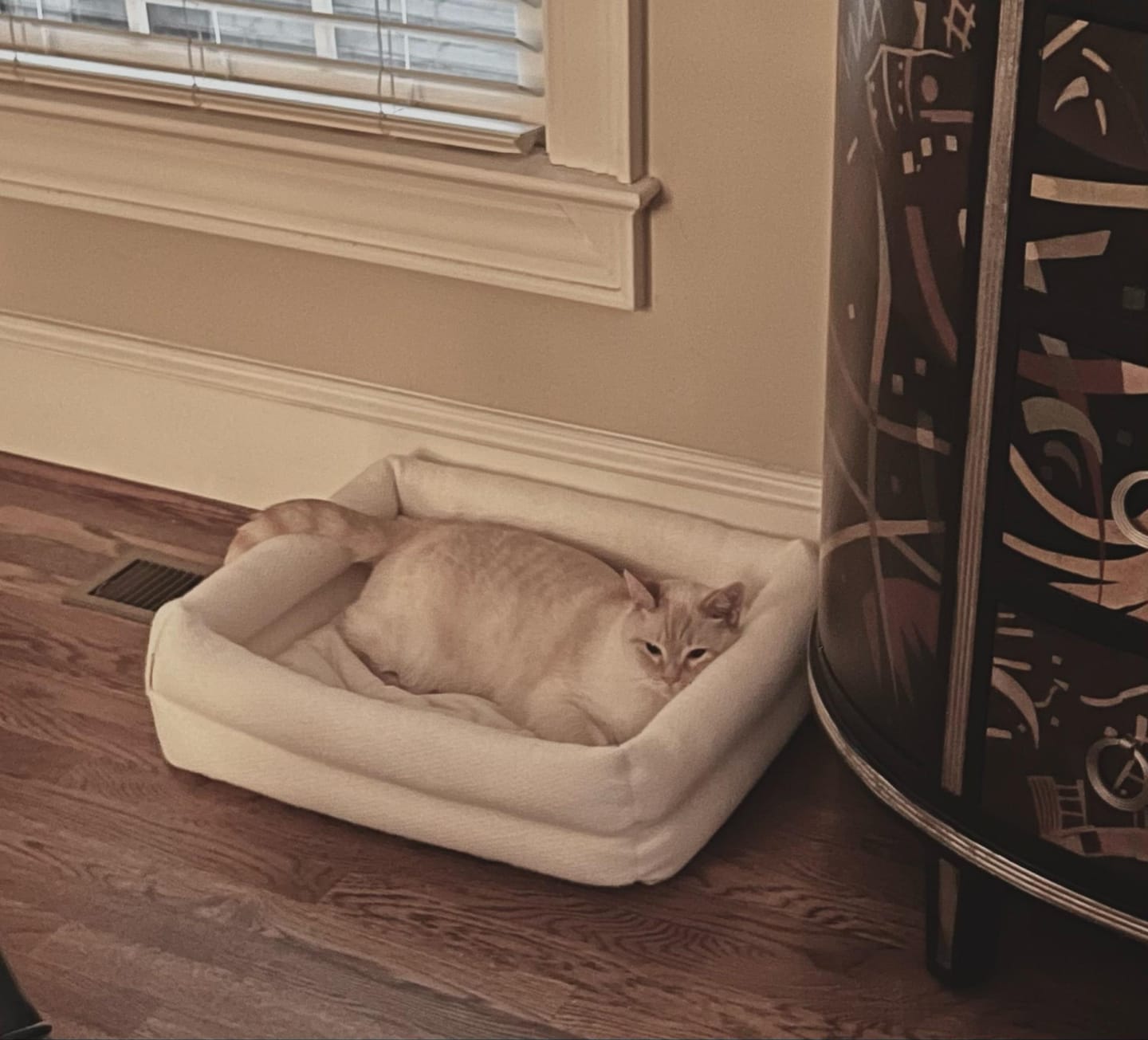 Customer photo review of Dubu Bed