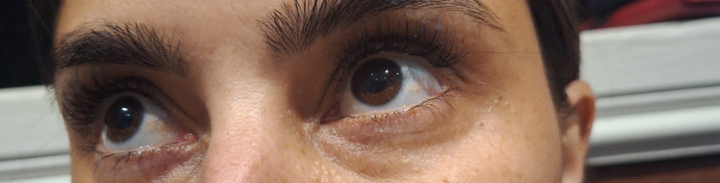 Customer photo review of Venus Silk Lash Kit