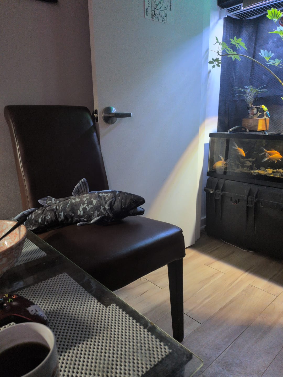 Customer photo review of Coelacanth Fish Soft Stuffed Plush Toy