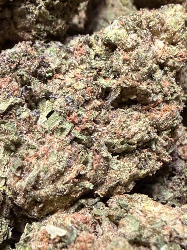 Customer photo review of Biscotti Cake - 28 Grams - Hybrid