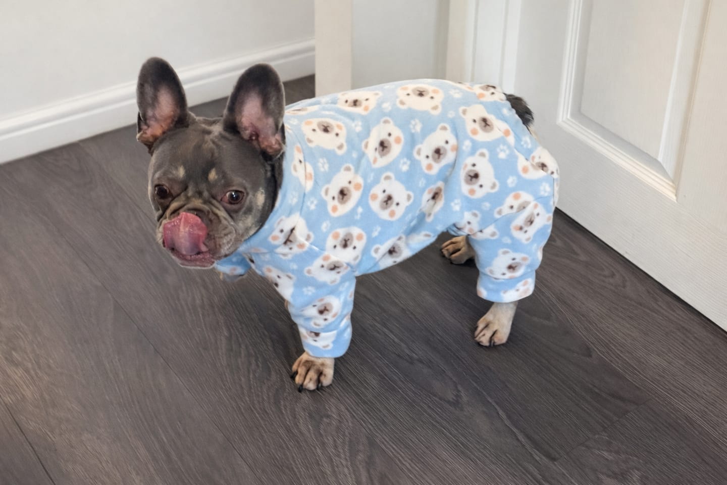 Customer photo review of Bear Faces Anti Pill Polar Fleece Fabric
