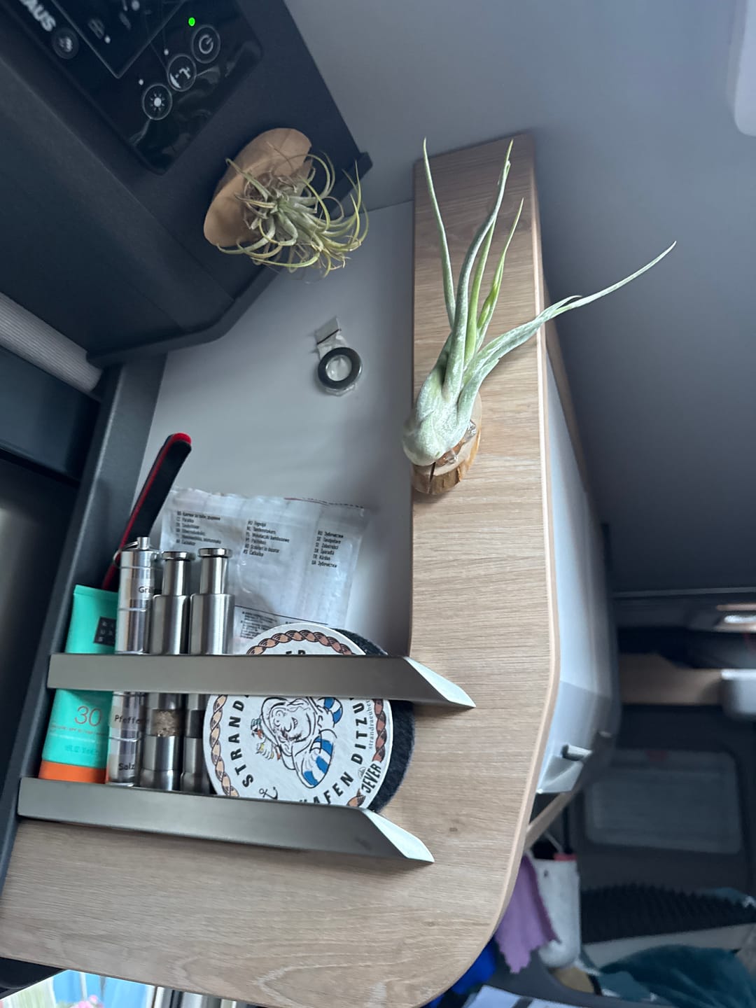 Customer photo review of Tillandsia caput medusae