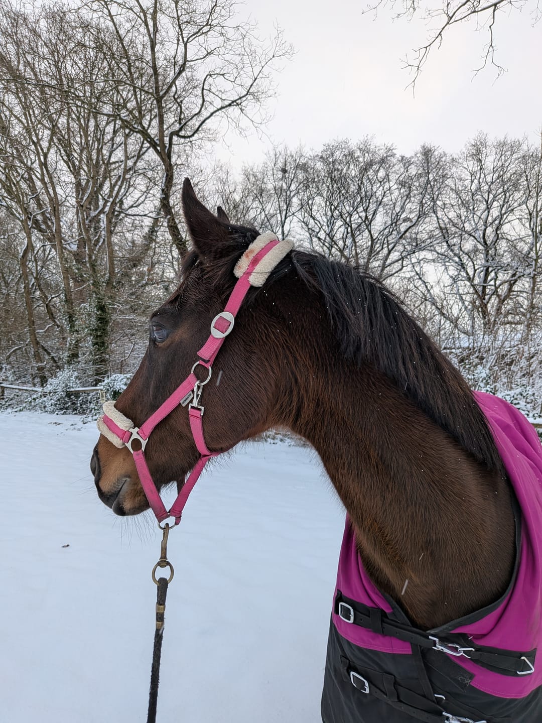 Customer photo review of Kristallkraft No1