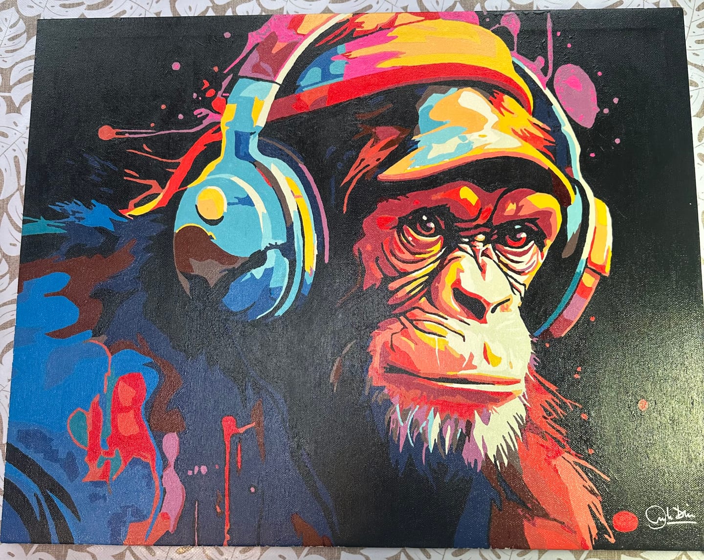 Customer photo review of Hip Hop Chimp