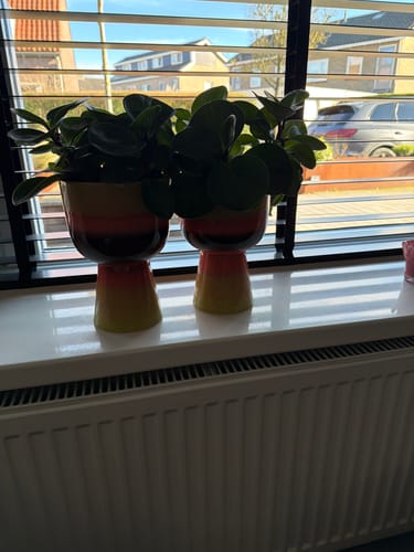 Klantfoto van twee HKliving 70's Retro Bloempotten met planten, staand op een vensterbank.