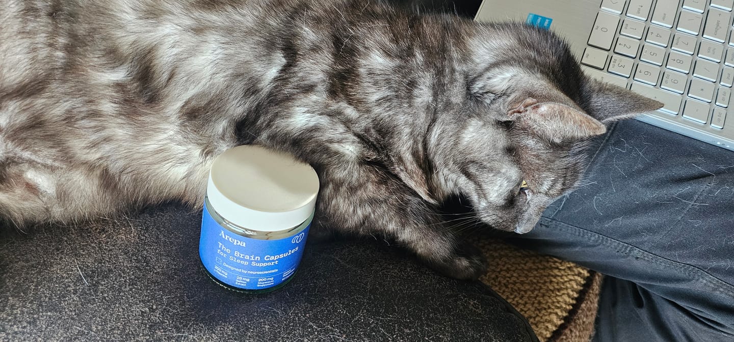 Customer photo review of The Brain Capsules for Sleep Support