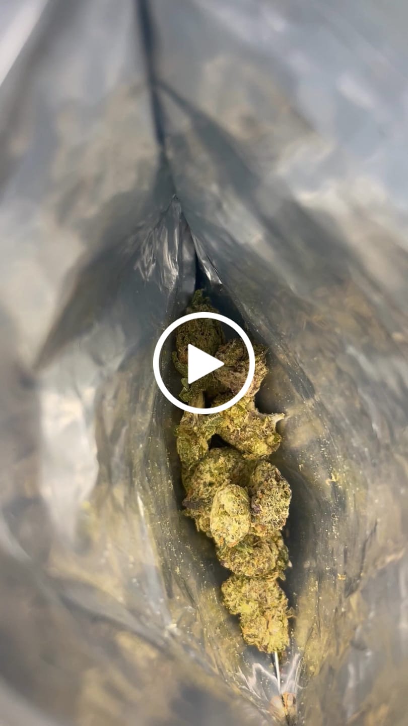 Customer video review of FREE 3.5g Indoor Small  (New Customer Exclusive)