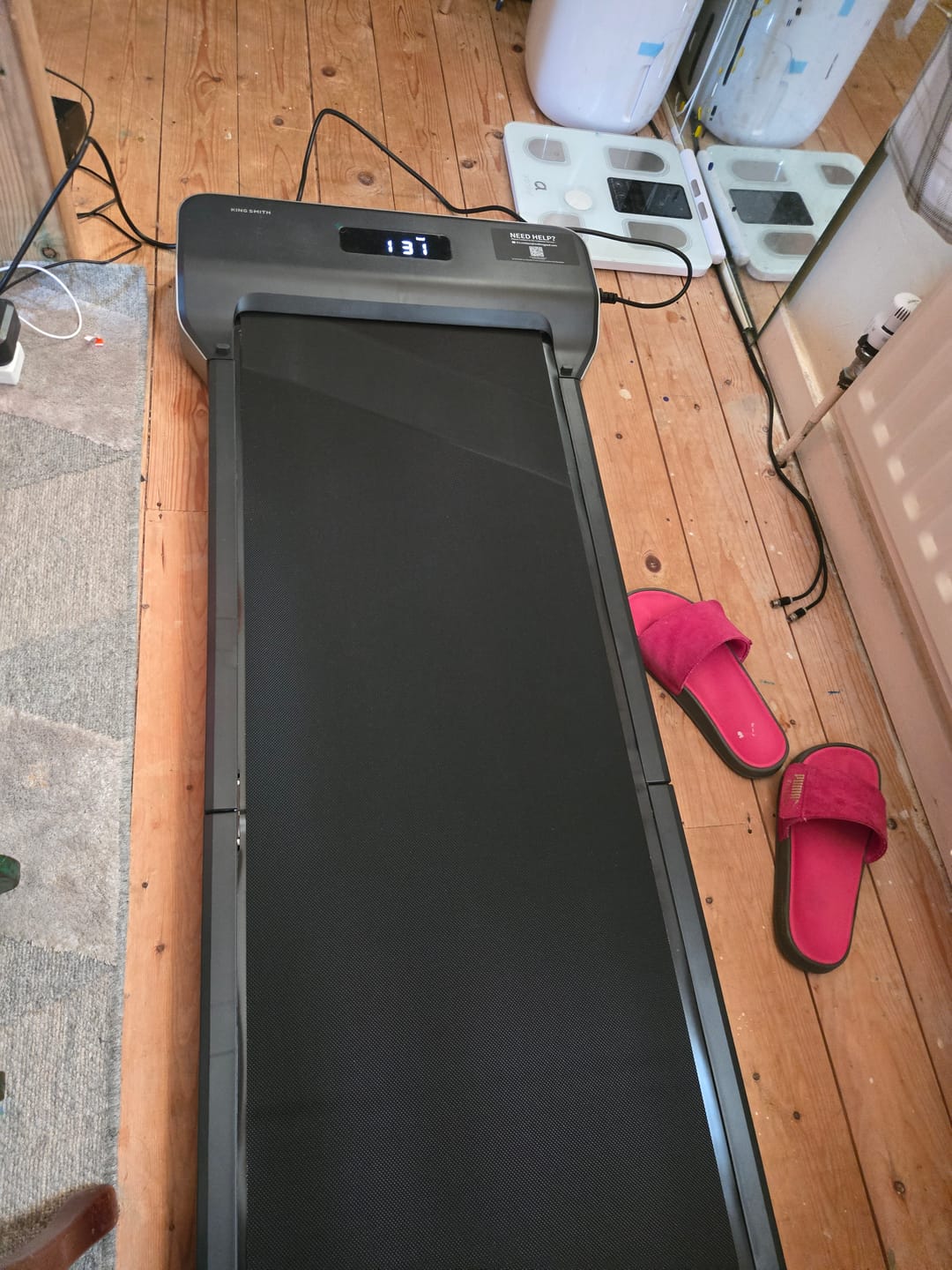 Customer photo review of WalkingPad Z1