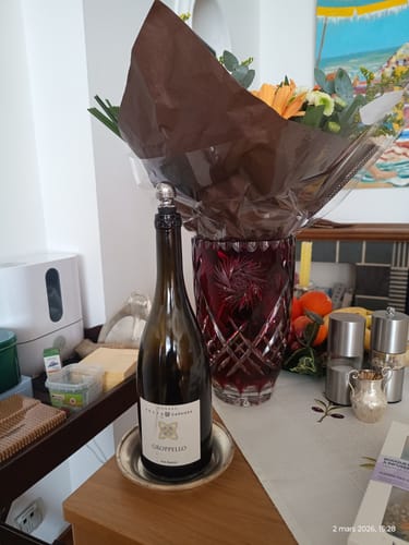 Customer photo review of "San Biagio" Groppello Riviera Garda Classico DOC