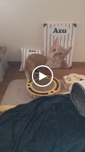 Customer video review of Petcanva® 品質補償サービス