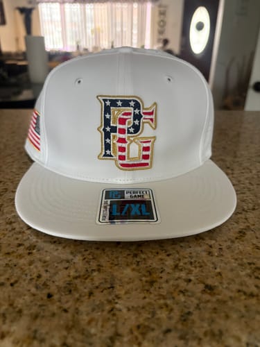 Customer photo review of PATRIOTIC HOFFMAN