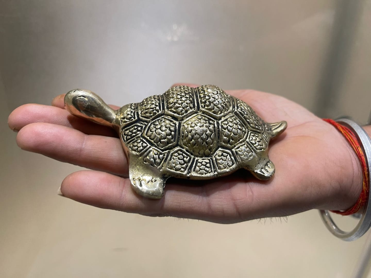 Customer photo review of Brass Tortoise/Turtle for Vastu | 4 Inch Feng Shui Brass Tortoise Showpiece for Wealth, Health & Longevity by Vastu Mandir