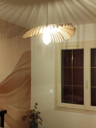 Customer photo review of Cygne | Suspension