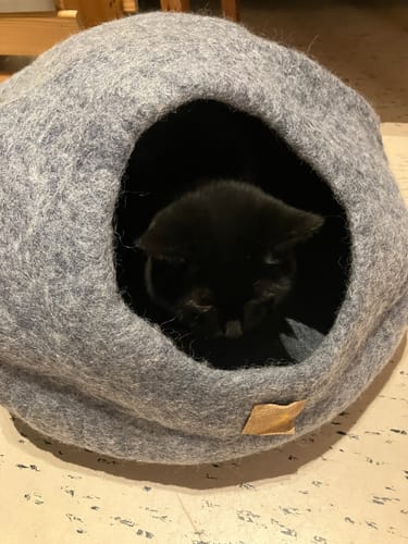 Customer photo review of Premium