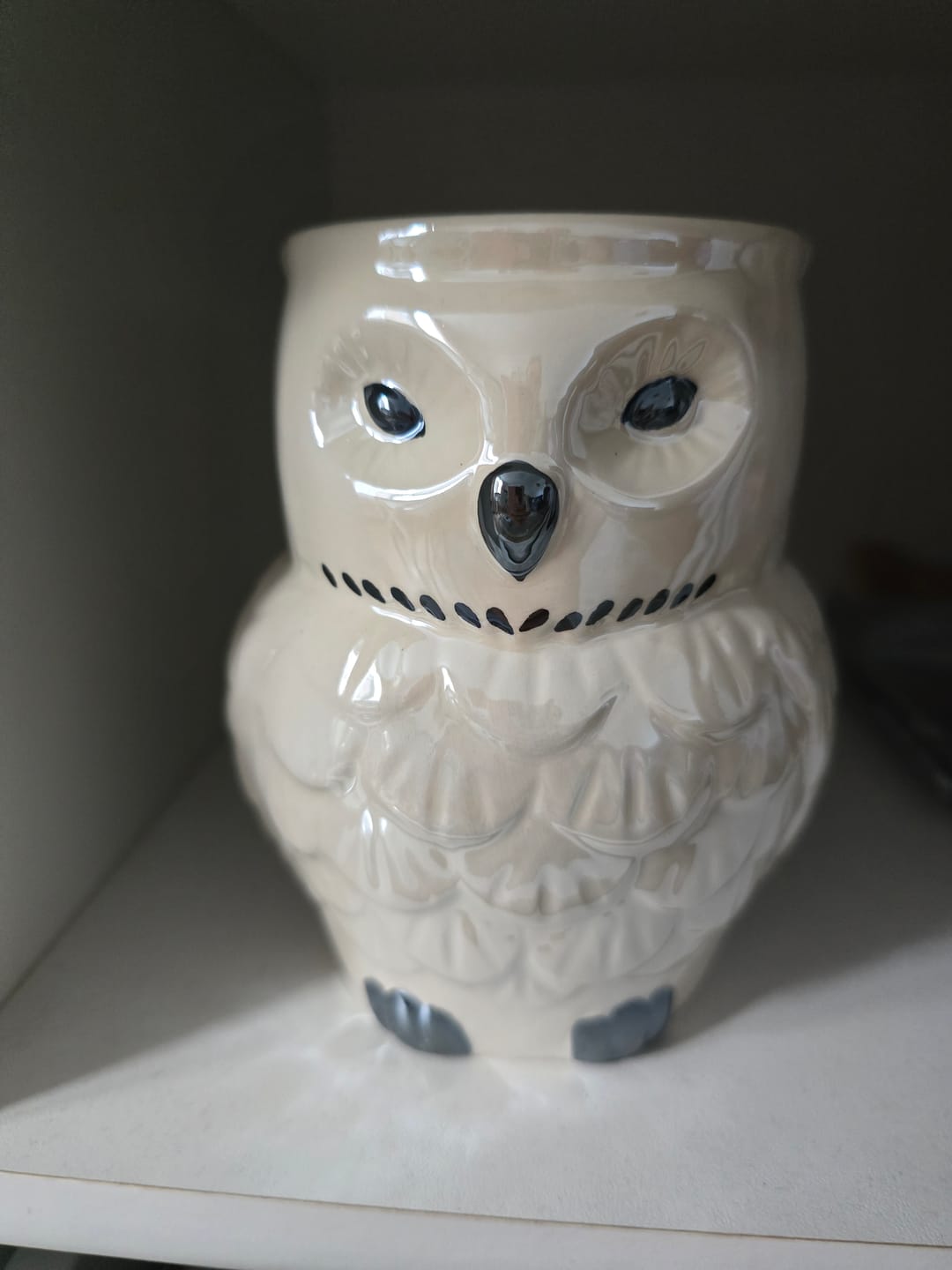 Customer photo review of Perlmuttfarbene Eulen Duftlampe