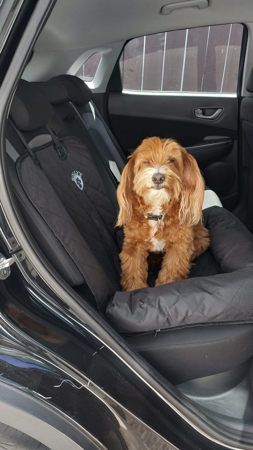 Customer photo review of Car Seat Cover