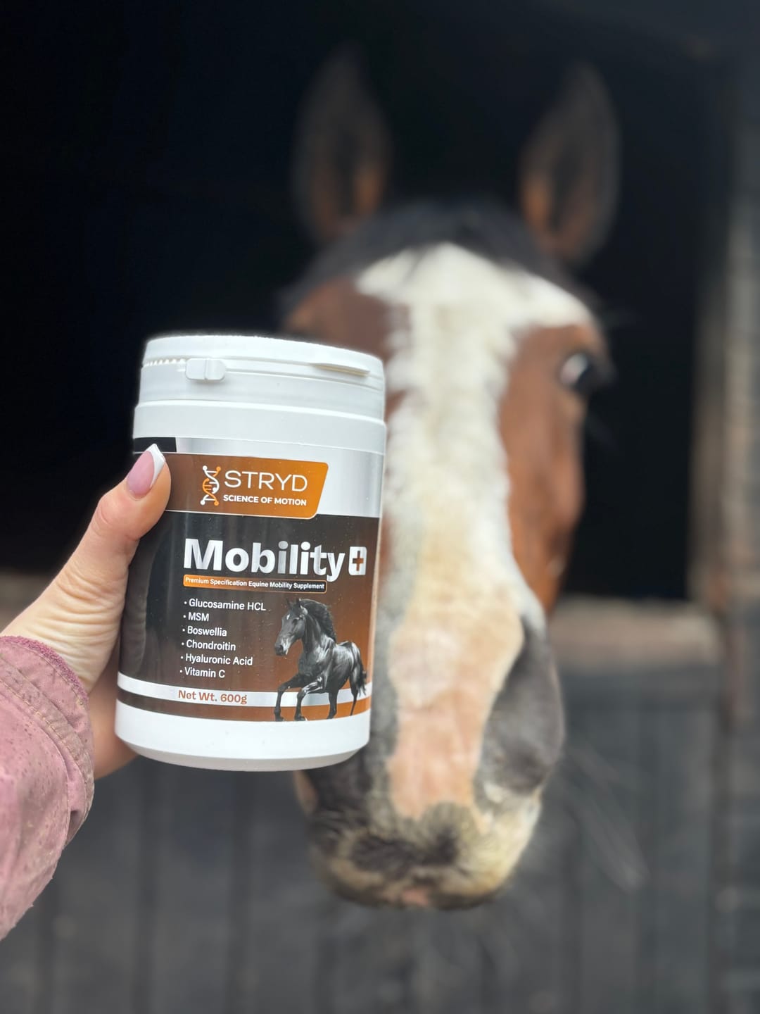 Customer photo review of MOBILITY+