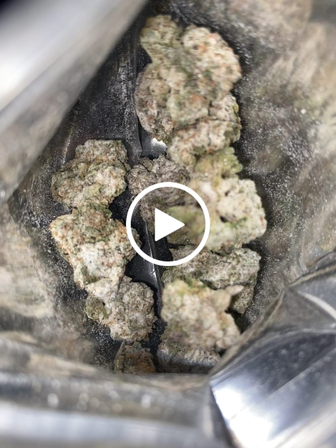 Customer video review of THCA Snowballs - 67% THCA