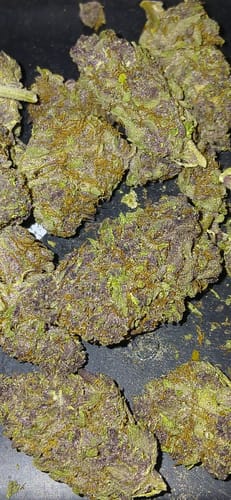 Customer photo review of Granddaddy Purple - 28 Grams - Indica