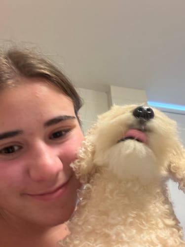 Custom Petslify plush reviewed by Scott C., handmade replica of their dog