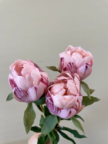 Customer photo review of Pioenroos Bundel 3st. Roze 48cm