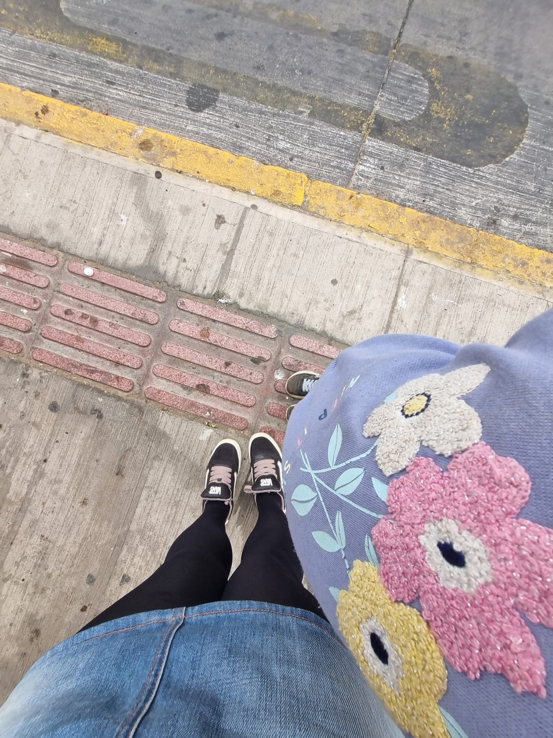 Customer photo review of Zapatillas Vans Hylane Mujer Morado