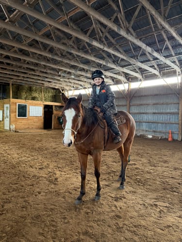 Customer photo review of iCavalos - Horse halter (7 Days)