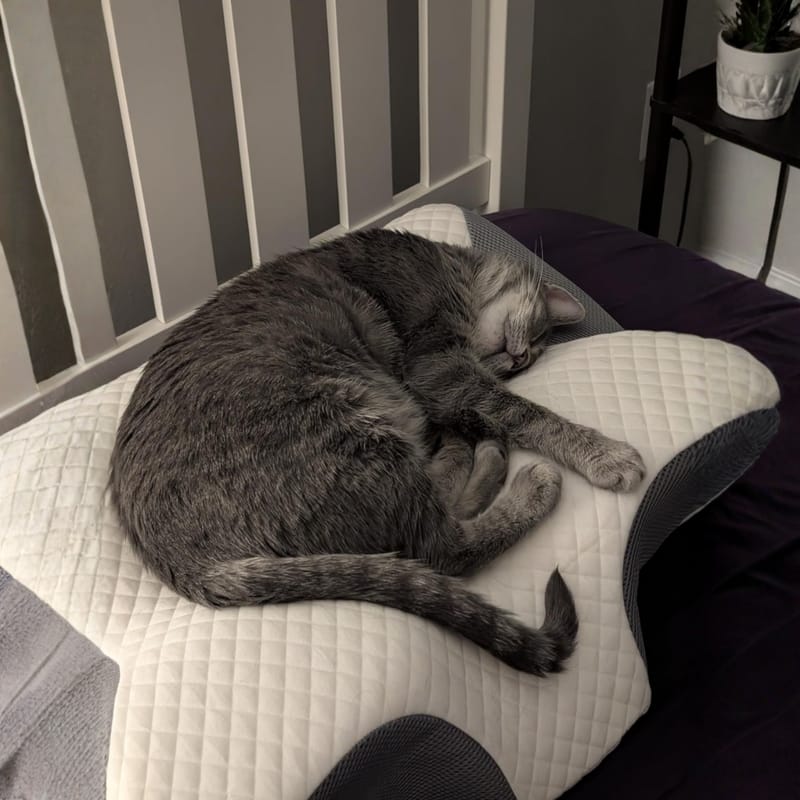 Customer photo review of OrtoSen 2.0: Ulga w Bólu Szyi